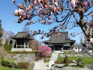 Eko haus duesseldorf