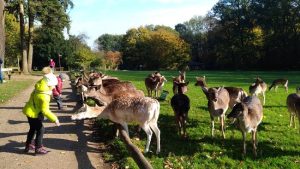 Grafenberger wildpark